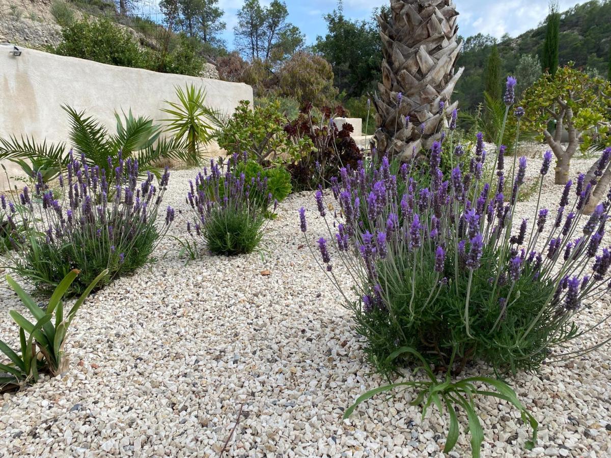Finca Las Estrellas Relleu 외부 사진