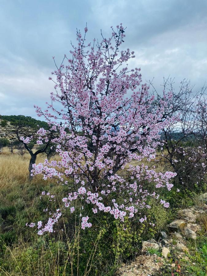 Finca Las Estrellas Relleu 외부 사진