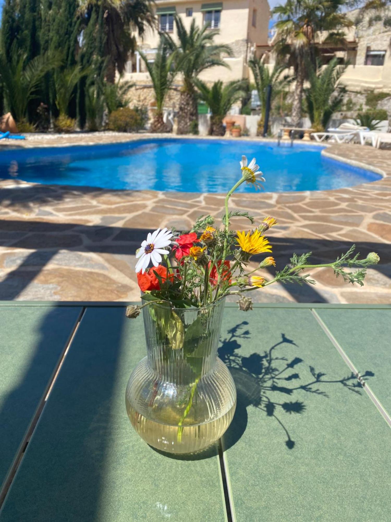 Finca Las Estrellas Relleu 외부 사진
